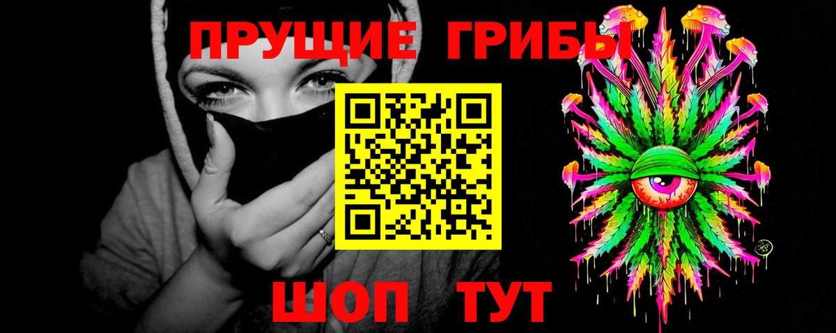 Шадринск  Псилоцибиновые грибы GOLDEN TEACHER  закладка  Вход с VPN 